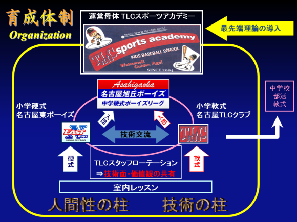 TLC�琬���j